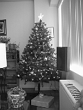 Christmas Tree 2000